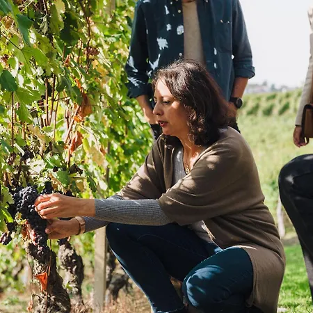 Casa Svizzera 바롤로