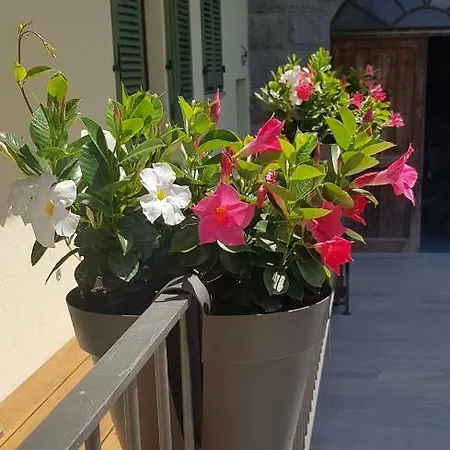 Casa Svizzera بارولو