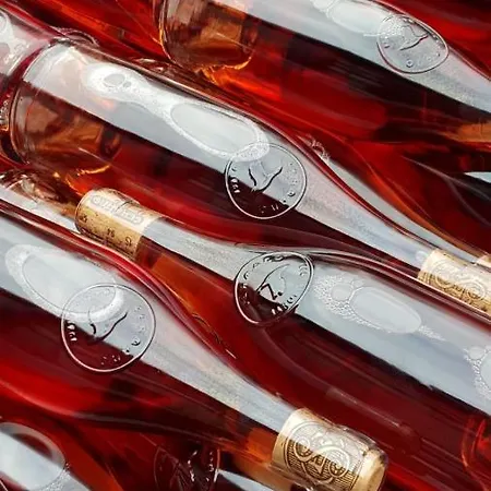 B&B Casa Svizzera 바롤로