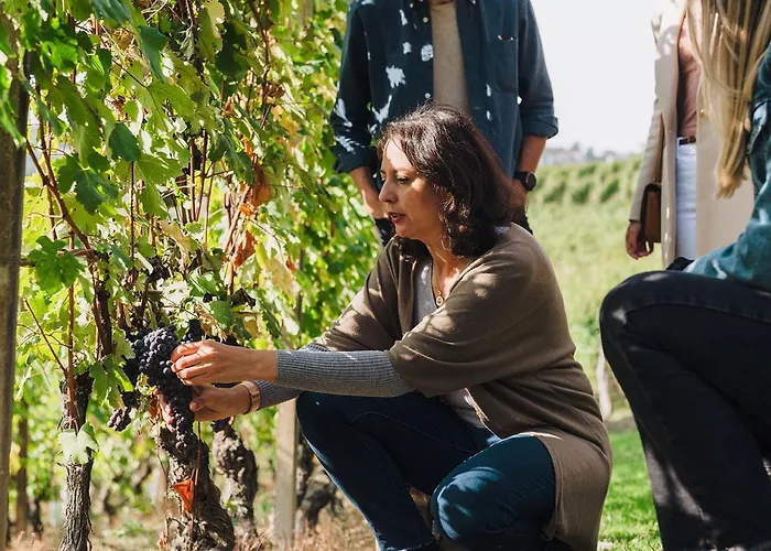 Casa Svizzera 바롤로